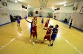 Basket 443118